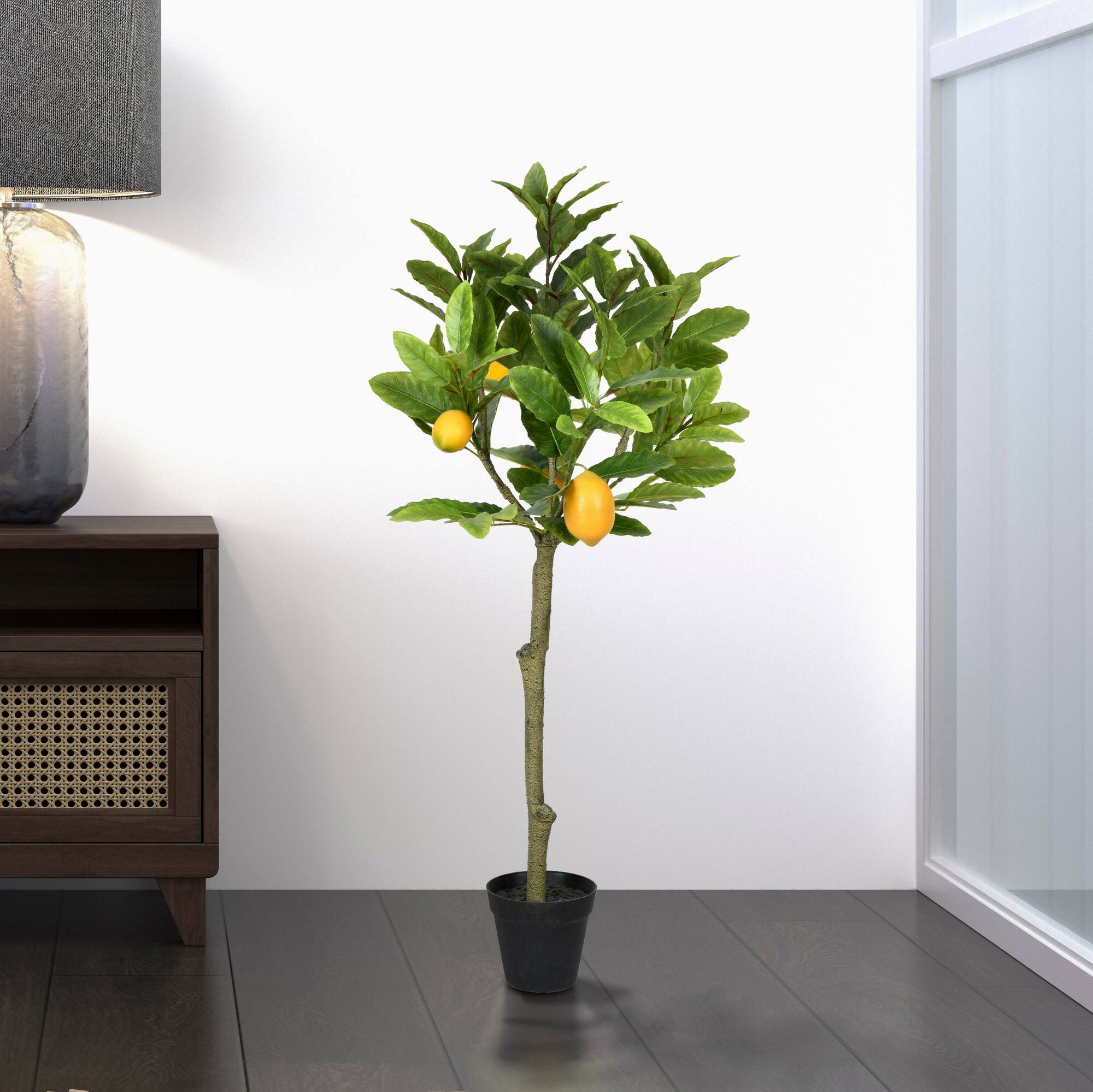 3ft. Potted Lemon Tree